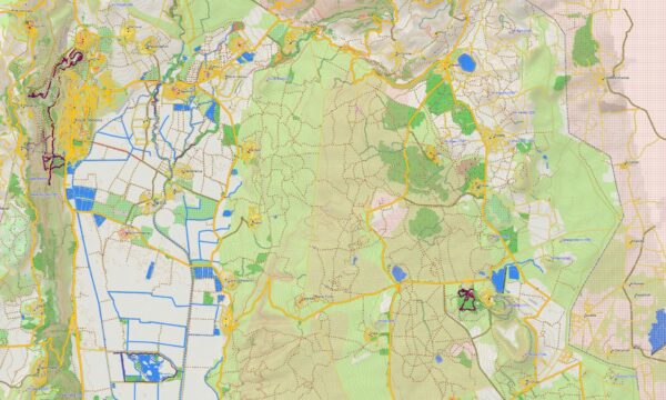 Topographic map Garmin sample Asia DEM map