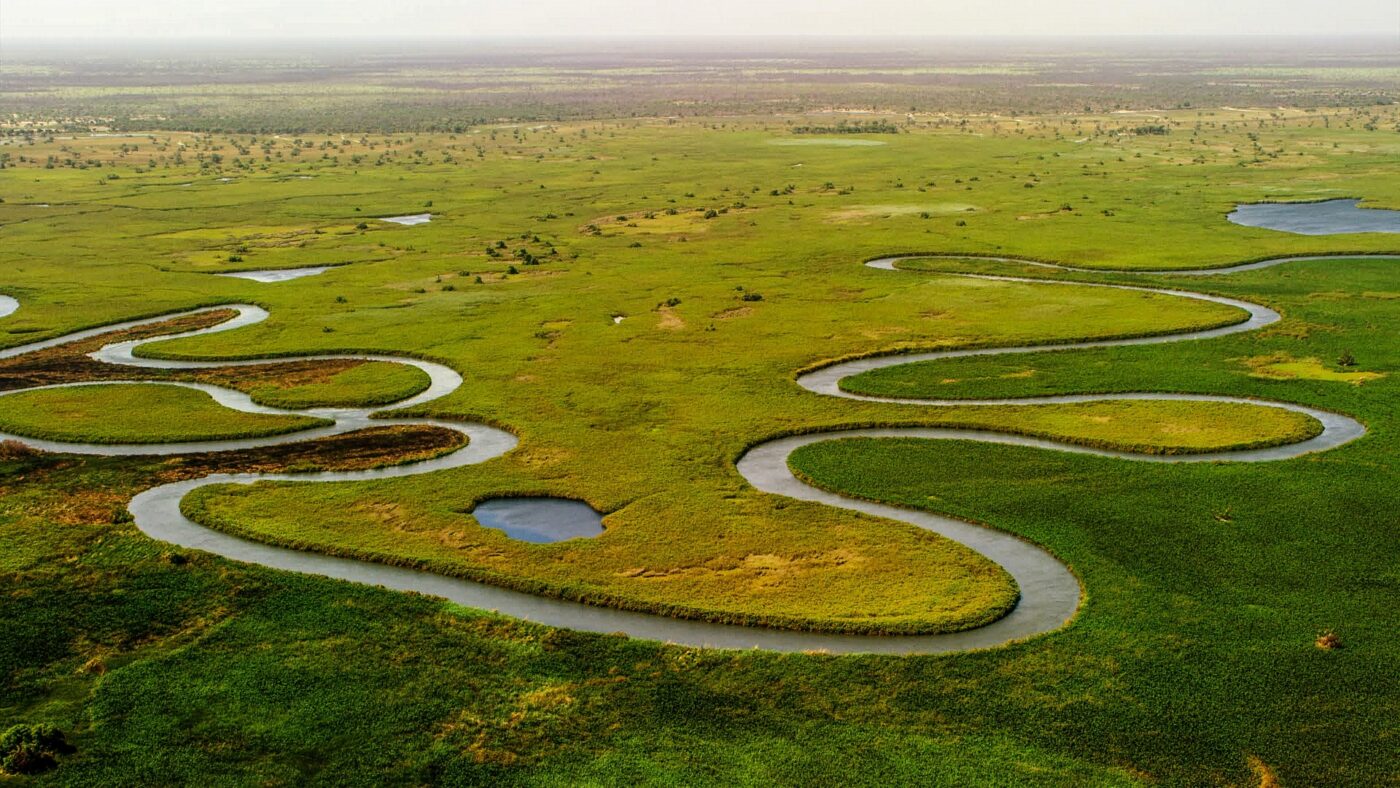 Exploring the Okavango Delta